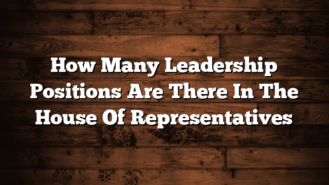 How Many Leadership Positions Are There In The House Of Representatives