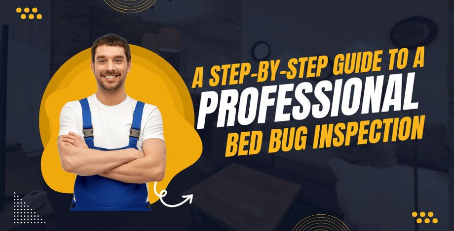 A-Step-by-Step-Guide-to-a-Professional-Bed-Bug-Inspection!