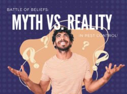 Battle-of-Beliefs_-Myth-vs.-Reality-in-Pest-Control!