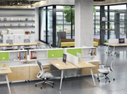 Creating Privacy in a Shared Office Space